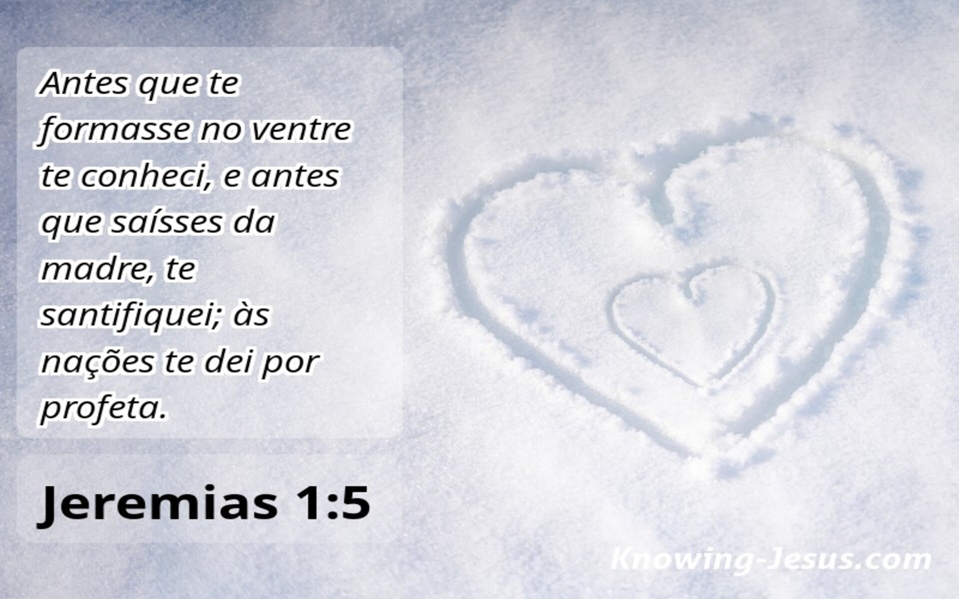 Jeremias 1:5 Aborto (sage)